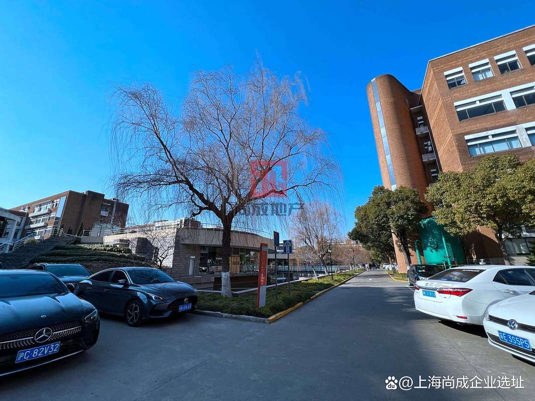 上海浦东软件园:锚定科技发展,引软件产业前行